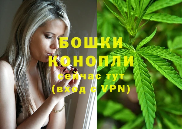 шишки Ладушкин
