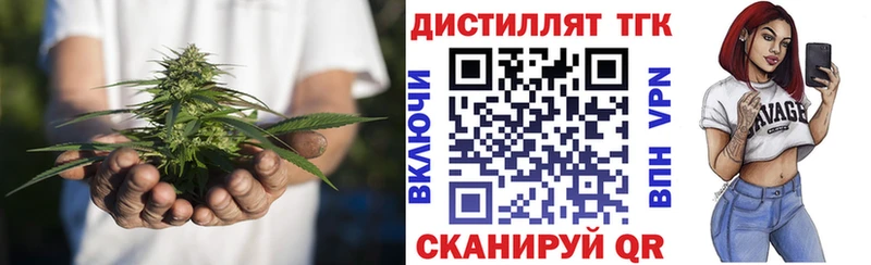 купить закладку  Жердевка  Дистиллят ТГК гашишное масло 